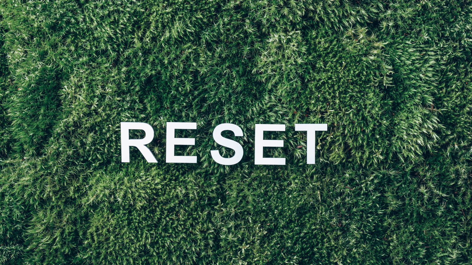 Spring Fridge Reset: A Simple Routine to Use What You Buy