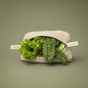 Leafy Greens Bag