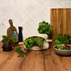 Leafy Greens Bag